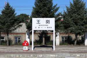 王岗站照片 4